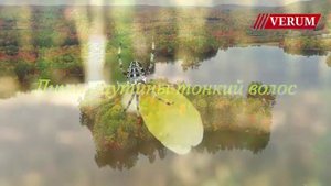 Ф.И.Тютчев.Есть в осени первоначальной.Читает Гуламова Багира.