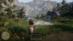 Прохождение Red Dead Redemption 2 — Часть 3 : Охота на медведя