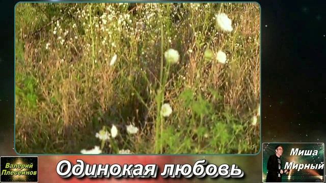 Миша Мирный - Одинокая любовь (Сл.В Василевский Муз.М Мартынов).mp4