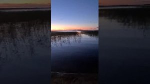 Рыбалка в Карелии...оз. Сямозеро,  2022.