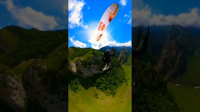 Dog Flying With a Paraglider 😍😲😀Dog Enjoy Paragliding 😀