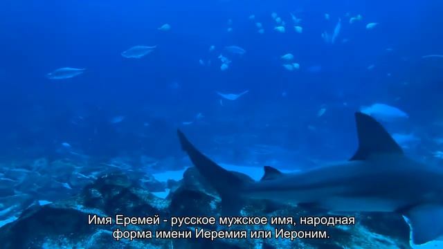 Значение имени Еремей. Толкование, судьба, характер