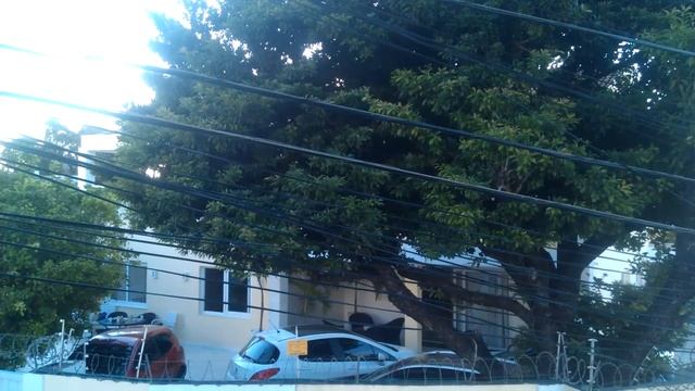 Как я живу в Бразилии. 1. Вечеринка у соседей. смотреть онлайн