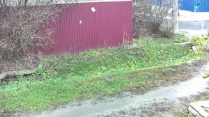 Хам-мусорщик