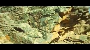 Толеген Мухамеджанов - Музыка казахской степи. Music of the Kazakh Steppe | Best Kazakh Folk Music