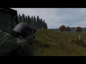 DAYZ. Случай на охоте