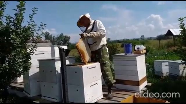 Продаём Башкирский мёд со своей пасеки 2022! смотреть онлайн