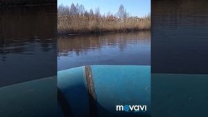 Рыбалка в Ленобласти #7