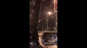 Мини конный влог с КСК "Райдер"