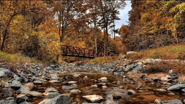 4К.Relaxation.ПЕНИЕ ПТИЦ В ЛЕСУ,РУЧЕЙ.Укрепление нервной системы.Снятие стресса.Для ХОРОШЕГО сна. смотреть онлайн