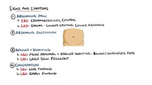 Intestinal Obstruction - Small Bowel Obstruction vs Large Bowel Obstruction