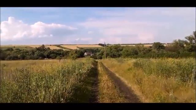 Песня: РУССКОЕ  ПОЛЕ. Исполняет Николай.