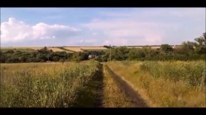 Песня: РУССКОЕ  ПОЛЕ. Исполняет Николай.
