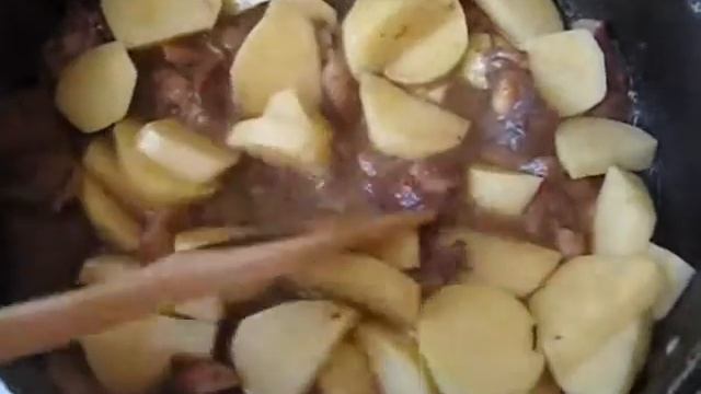 Грибы . Сбор грибов . Маслята . Рецепт. Как приготовить грибы . Как пожарить грибы