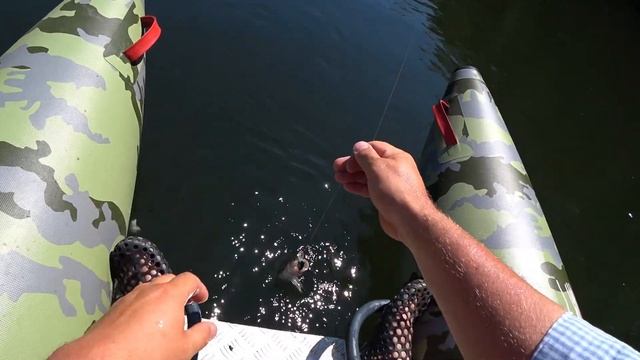 Голавль* сплав по Вороне 2021* смотреть онлайн