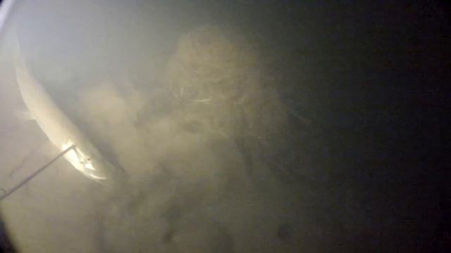 Подводная охота на щуку. Река Илеть. смотреть онлайн