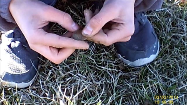 Metal Detecting with the Whites Coinmaster Pro - KID STEALS MY FIND! смотреть онлайн