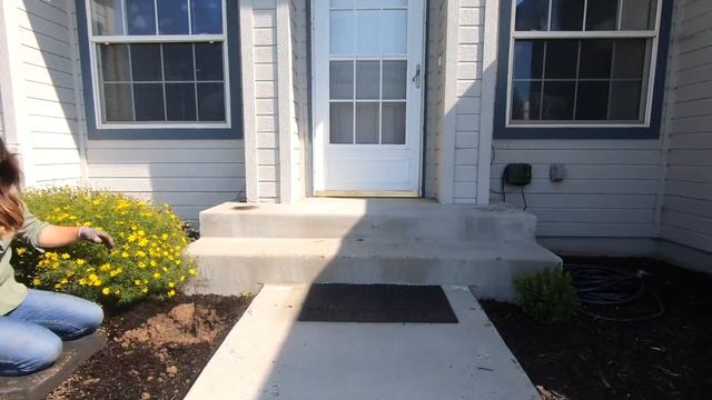 Landscape Makeover Pt 5: Looking at Rocks and Planting More Shrubs 🌿// Garden Answer смотреть онлайн