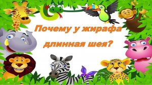 Почему у жирафа длинная шея