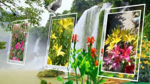 ТАНЕЦ ЦВЕТОВ МОЕГО ЛЕТНЕГО САДА.mp4