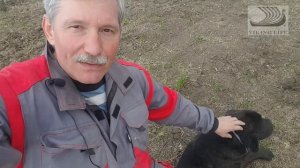 #34 Строим эконом забор из сетки "рабица".