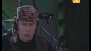 Creedence Clearwater Revisited, Cotton Fields, Festival de Viña 1999