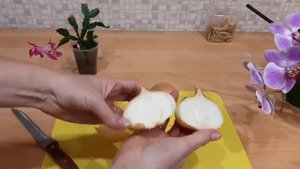 Лук вырастет много большого и здорового лука Сделайте так при посадке the ONION  Нет луковой мухе