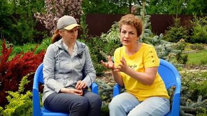 Ваши розы просто засияют! Лучшие удобрения для роз