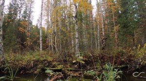 Ловля хариуса на мормышку