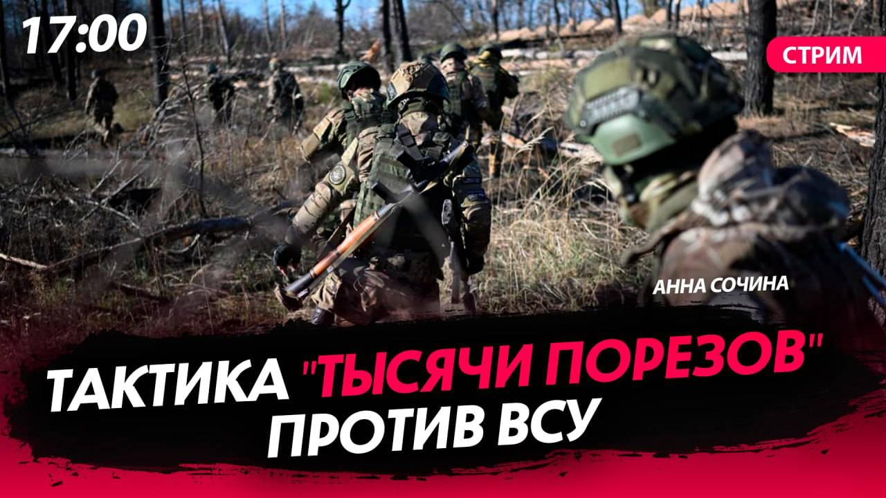 Тактика тысячи порезов что это