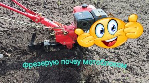 Фрезерую почву мотоблоком