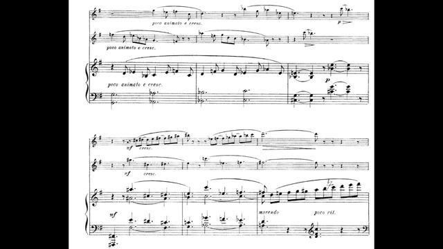 Mel Bonis - Suite en Trio for Flute, Violin and Piano, Op. 59 (1903) [Score-Video] смотреть онлайн