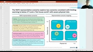 RAEX Sustainability webinar 43 - Climate scenarios for financial industry