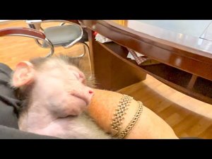 Доктор Василий дал Люсе  витаминный комплекс и она СРАЗУ УСНУЛА!