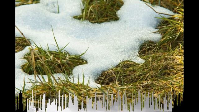 Серёга,Серёжа,Серёжка смотреть онлайн