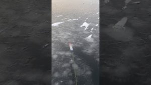 Испытания торпеда или ракета китайская для постановки сетей под лёд