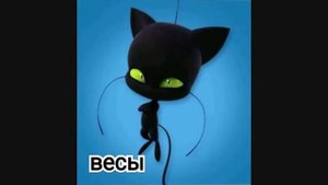 Какая ты по знаку зодиака из квами☺️?!!!