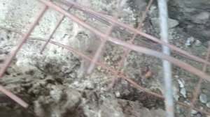 Как из подручных средств сделать каркас и укрепить стену (720p).mp4