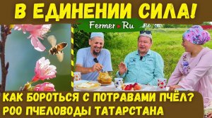 Как защитить пасеку от потрав пчёл? Аграрии VS пчеловоды. Кто прав? Опыт РОО Пчеловоды Татарстана