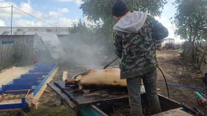 Супер мойка для свиней, после осмаливане  быстро и удобно.