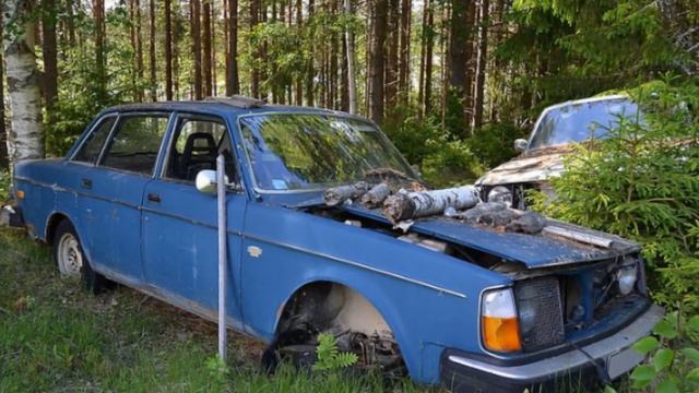 Забытые в лесу Заброшенные Автомобили