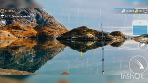 My Fishing World Стерлядь ловим одну за одной