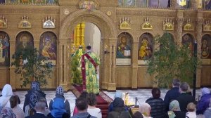 04.06.2023г. ДЕНЬ СВЯТОЙ ТРОИЦЫ; ПЯТИДЕСЯТНИЦА Божественная литургия в Феодоровском соборе