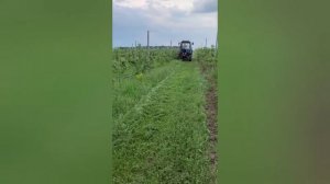 Косилка садовая. Работа в саду. Сделаем на заказ.