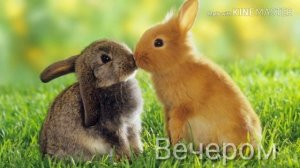 Мини-Фильм||Ненавижу Тебя Сестра||Vata