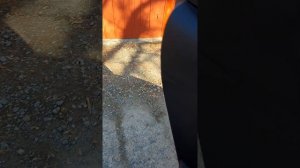 Kia soul 2019 год из Кореи (краткий обзор)