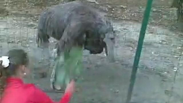 моршин смотреть онлайн