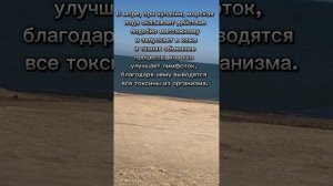 10 фактов о пользе моря для здоровья ребенка.Каспийское море  #каспийскоеморе #море #озеро #ребенок
