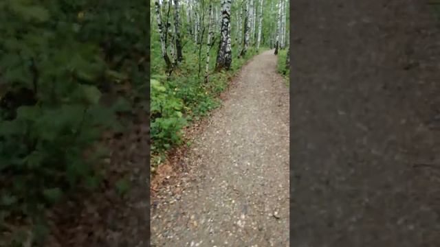 прогулка по парку :куда ни глянь везде своя песня😊 смотреть онлайн