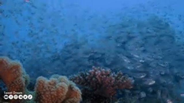 Нежная музыка и успокаивает нервную систему - лечебная музыка для сердца и радует душу #275 смотреть онлайн